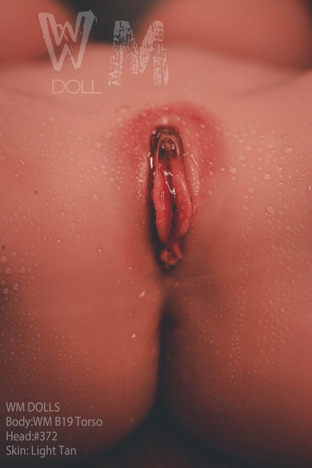 Pamella Premium Sex Doll Torso B19 - Head 372 - WM Doll - SEX LOVE DOLLS